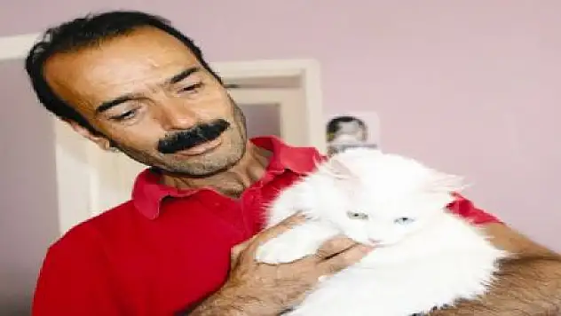 VAN KEDİLERİNİN YARIŞMA HEYECANI